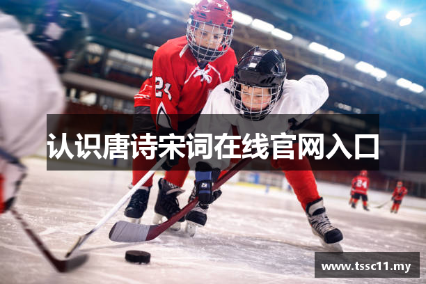 认识唐诗宋词在线官网入口